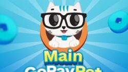 GoPay Pet: Aplikasi Baru yang Mungkin Mengubah Cara Anda Bertransaksi!
