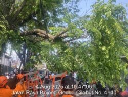 “Pohon Tumbang di depan Stasiun Cilebut Bogor, Sempat Tutup Jalan: Kenapa Ini Terjadi?”