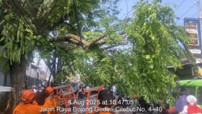 “Pohon Tumbang di depan Stasiun Cilebut Bogor, Sempat Tutup Jalan: Kenapa Ini Terjadi?”