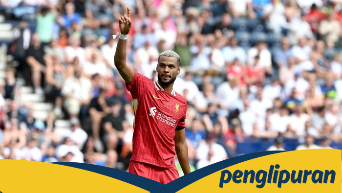 Gakpo di Liverpool: Musim Terbaiknya atau Hanya Awal dari Cerita?