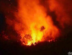 4.000 Hektar Lahan Kebakaran di Prancis, 980 Pemadam-14 Pesawat Dikerahkan – Alternatif 1