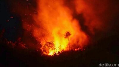 4.000 Hektar Lahan Kebakaran di Prancis, 980 Pemadam-14 Pesawat Dikerahkan – Alternatif 1