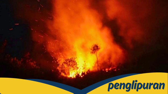 4.000 Hektar Lahan Kebakaran di Prancis, 980 Pemadam-14 Pesawat Dikerahkan - Alternatif 1