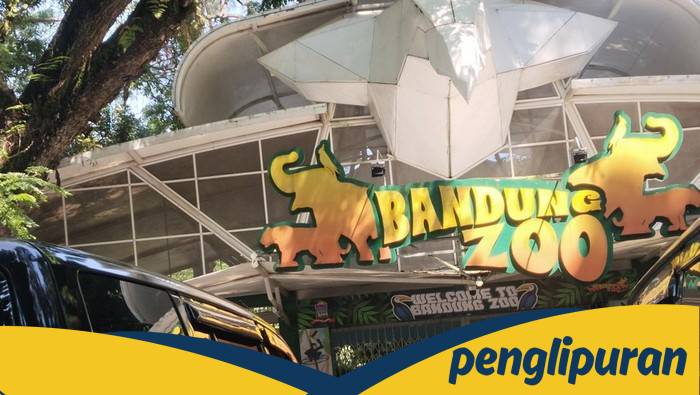 Bandung Zoo Ditutup Sementara, Kenapa? Dampaknya pada Konservasi Hewan