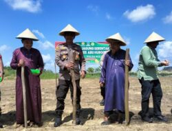 Dukung Asta Cita, Polres Siak dan Forkopimcam Tanam Jagung di Lahan Ponpes – Alternatif 1