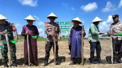 Dukung Asta Cita, Polres Siak dan Forkopimcam Tanam Jagung di Lahan Ponpes – Alternatif 1