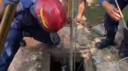 Kucing Tercebur Sumur di Cibinong Bogor, Warga Panggil Damkar – Alternatif 1