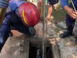 Kucing Tercebur Sumur di Cibinong Bogor, Warga Panggil Damkar – Alternatif 1