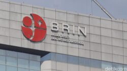 BRIN: Tsunami Besar di Selatan Jawa Berpotensi Terulang 200 Tahun ke Depan – Alternatif 1