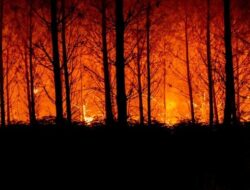 Kebakaran Hutan di Prancis Lalap 11 Ribu Hektare, 1 Warga Tewas – Update 1