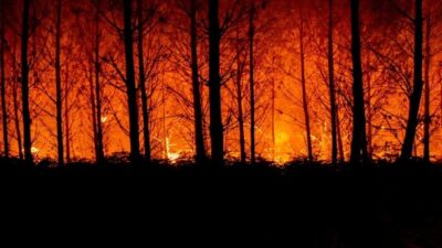 Kebakaran Hutan di Prancis Lalap 11 Ribu Hektare, 1 Warga Tewas – Update 1
