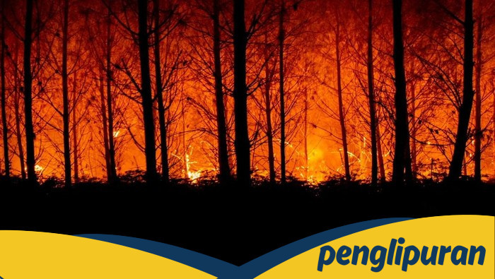 Kebakaran Hutan di Prancis Lalap 11 Ribu Hektare, 1 Warga Tewas - Update 1