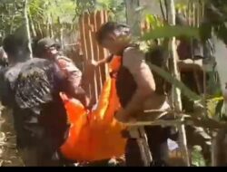 Tragedi Papua Pegunungan: 2 Warga Tewas, Polisi Perketat Penyelidikan OTK