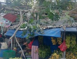 Pohon Setinggi 8 Meter Tumbang Timpa Lapak Pedagang Buah di Bogor – Update 1