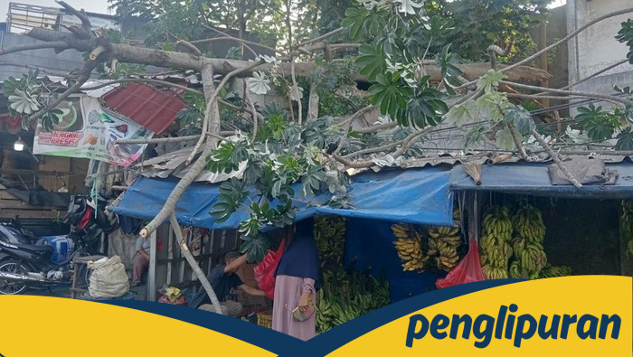 Pohon Setinggi 8 Meter Tumbang Timpa Lapak Pedagang Buah di Bogor - Update 1