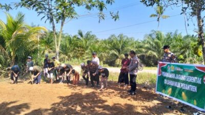 Polres Rohul Tanam Jagung Bersama Santri, Dorong Ketahanan Pangan!