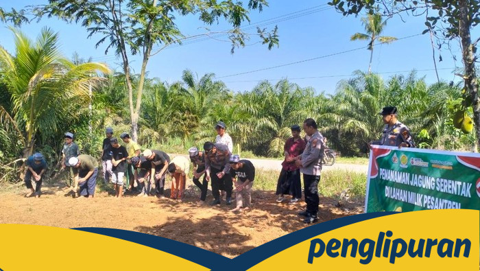Polres Rohul Tanam Jagung Bersama Santri, Dorong Ketahanan Pangan!
