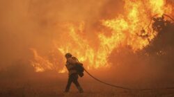 “Kebakaran Hutan Melanda Los Angeles, Ribuan Warga Terpaksa Evakuasi”