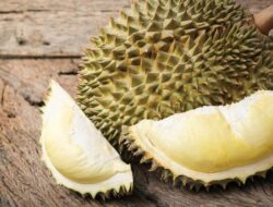 Waduh! Penyanyi Malaysia Kena Stroke usai Makan 7 Buah Durian Dalam Sehari: Kenali Resiko Kebiasaan Makan Berlebihan