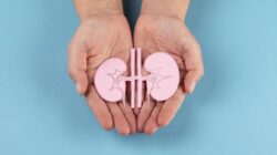 Ginjal Bisa ‘Menyusut’? 5 Fakta Mengejutkan当 Tubuh Kekurangan Cairan yang Harus Anda Ketahui