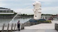 “Chikungunya Meneror Singapura, Pasien Desak Solusi Darurat!”