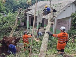 BPBD Bogor Dapati 20 Bencana Akibat Hujan Deras Semalam: Dari Longsor hingga Kebakaran
