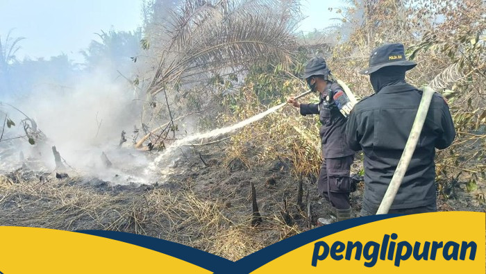 Momen Perjuangan Iptu Donald 'Pahlawan Karhutla' Lawan Kebakaran di Riau - Update 1