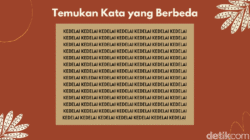 “Latih Fokus dengan 10 Soal Tes Ketajaman Mata, Temukan Kata dan Angka yang Berbeda!”