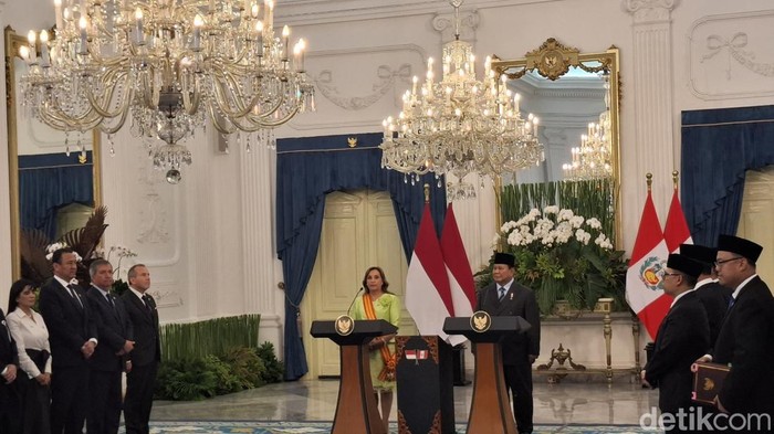 Prabowo Sambut Baik Peru Dukung Palestina Merdeka: Wujudkan Solusi 2 Negara, Inilah Langkah Nyata Menuju Damai!