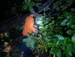 “Pohon Tumbang, Warga Rawa Buaya Terisolasi, TransJ Koridor 3 Gagal Layani”