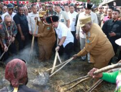 Mendagri Buka Acara Bakar Batu di Papua Pegunungan: Momentum Kebhinekaan yang Menggugah