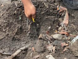 Asap Misterius di Depok: PVMBG Sebut Perlu Penyelidikan, Jauh dari Gunung Api