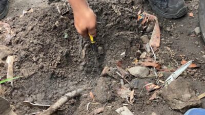 Asap Misterius di Depok: PVMBG Sebut Perlu Penyelidikan, Jauh dari Gunung Api