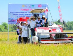 “Wagub Sulsel & Titiek Soeharto: Panen Raya di Maros, 9 Ton/Hektare! Revolusi Pertanian Berhasil?”