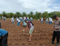 [Mahasiswa KKN dan Polisi Tanam Jagung di Rohul, Dukung Ketahanan Pangan]
