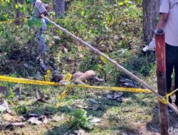 “Skandal Mengerikan: Suami Terlibat dalam Pembunuhan Wanita di Hutan Ponorogo, Korban Dikeroyok!”