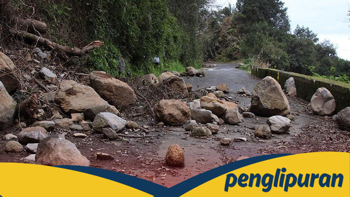 **Tragedi Tambang Emas di Tanzania: 25 Pekerja Hilang dalam Longsor Mengerikan**