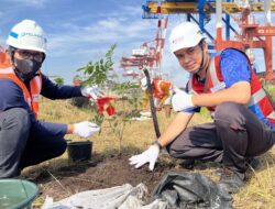 HUT RI Ke-80, Pelindo Petikemas Tanam 1.500 Pohon, Gugurkan Waktu untuk Bumi