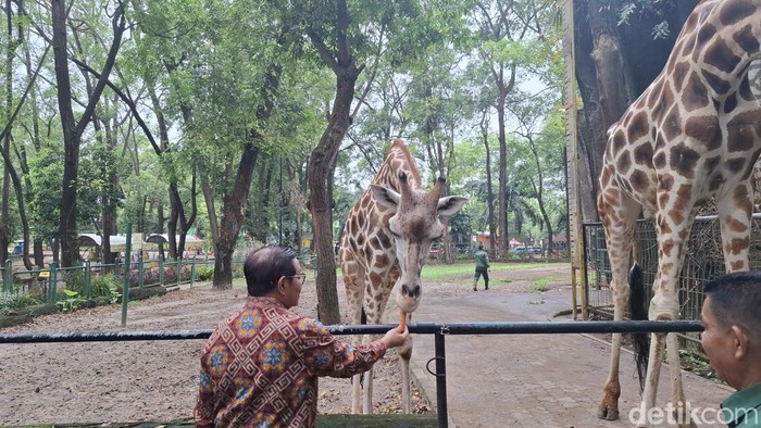 **Ragunan Bakal Buka Malam? Pramono: Shuttle Bus Wajib, Bawa Mobil Tak Diperbolehkan!**