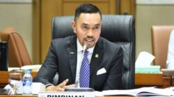 **Sahroni Ungkap Alasan Cuma Ada 1 Calon Hakim MK Pengganti Arief Hidayat**