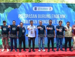 Pemkot Surabaya-BRIN Siapkan Perpustakaan Bakau di Kebun Raya Mangrove – Update 1