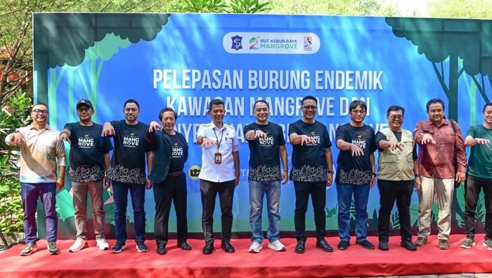 Pemkot Surabaya-BRIN Siapkan Perpustakaan Bakau di Kebun Raya Mangrove - Update 1