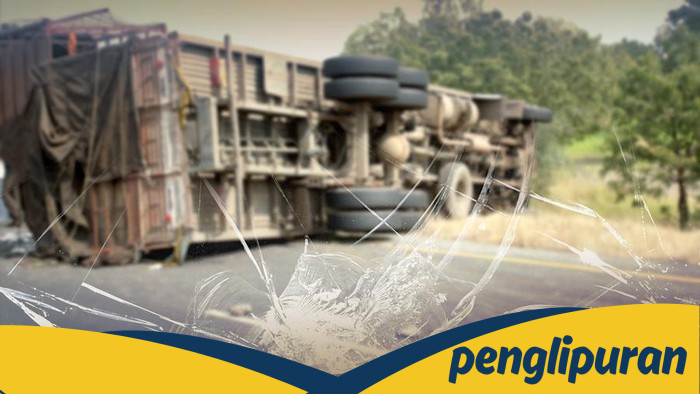 AS Tiba-tiba Setop Terbitkan Visa Pengemudi Truk Usai Kecelakaan Maut: Menyelamatkan Hidup atau Menambahkan Beban?