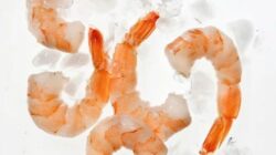 Udang Beku RI Terpapar Radioaktif, Asal Kontaminasi成 Apa?