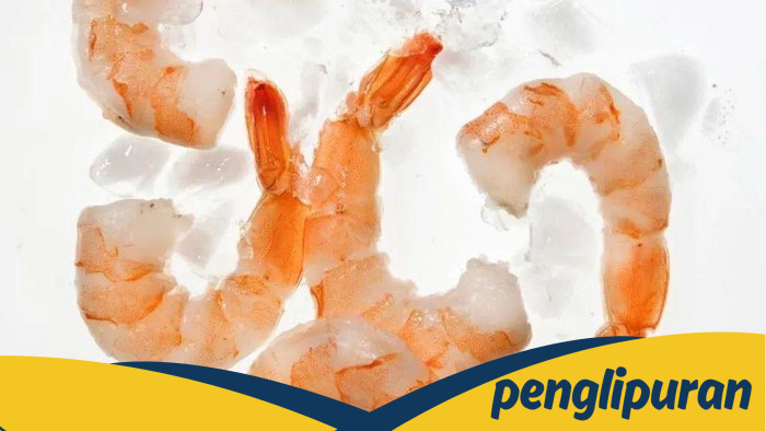 Udang Beku RI Terpapar Radioaktif, Asal Kontaminasi成 Apa?