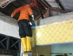 Hendak Mandi, Warga Bogor Malah Lihat Ular Sanca di Plafon – Update 1