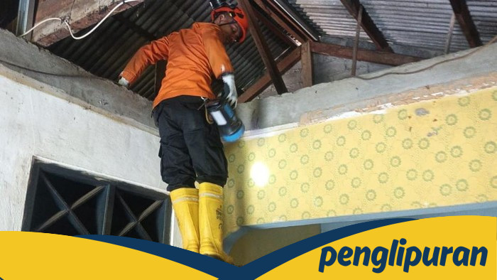 Hendak Mandi, Warga Bogor Malah Lihat Ular Sanca di Plafon - Update 1