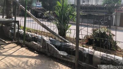 “Kericuhan Suporter PSIM vs Persib: Sejumlah Orang Luka-Kendaraan Rusak di Jogja”