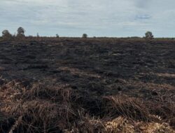 Karhutla di Riau Menurun Drastis, 6 Tersangka di Pelalawan Terjerat Hukuman.