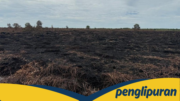 Karhutla di Riau Menurun Drastis, 6 Tersangka di Pelalawan Terjerat Hukuman.